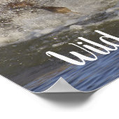 Poster Horses galloping in the water (Coin)