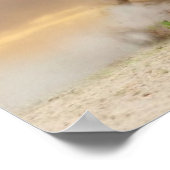 Poster Horses in sunset (Coin)