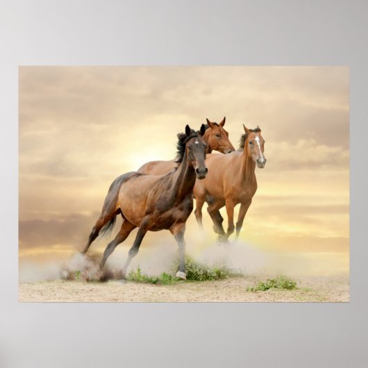 Poster Horses in sunset (Devant)
