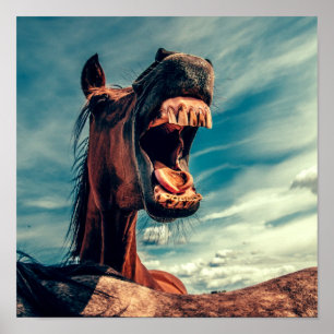 Poster Horse's Mouth Teeth Neigh Wild Horse Animal