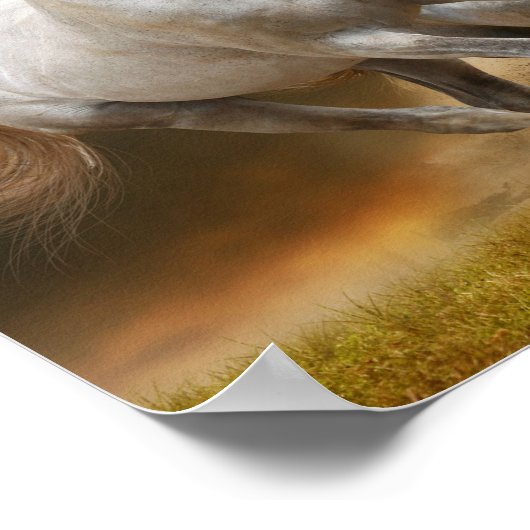 Poster Horses sauvages (Coin)