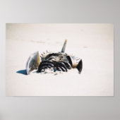 Poster Horseshoe carb (Devant)