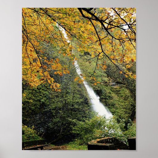 Poster Horsetail Falls, Oregon (Devant)