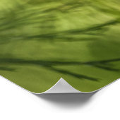 Poster Horsetail Nature Photo (Coin)