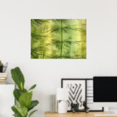 Poster Horsetail Nature Photo (Bureau à domicile)