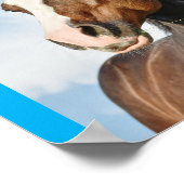 Poster horsie cute (Coin)