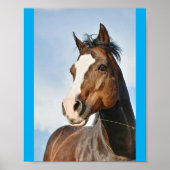 Poster horsie cute (Devant)