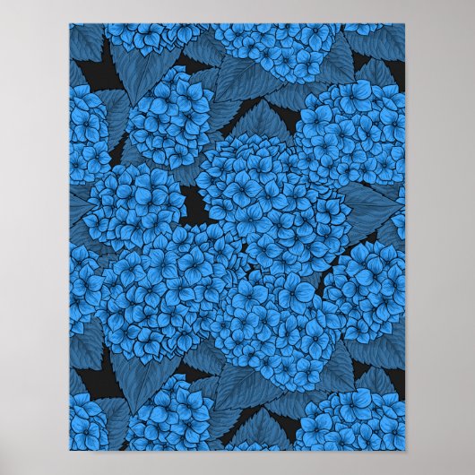 Poster Hortensia bleu (Devant)