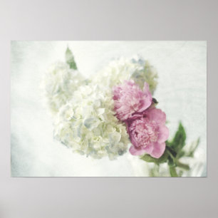 Poster Hortensia bleu et copie rose de pivoine