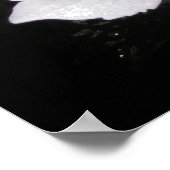 Poster Hortensias (Coin)