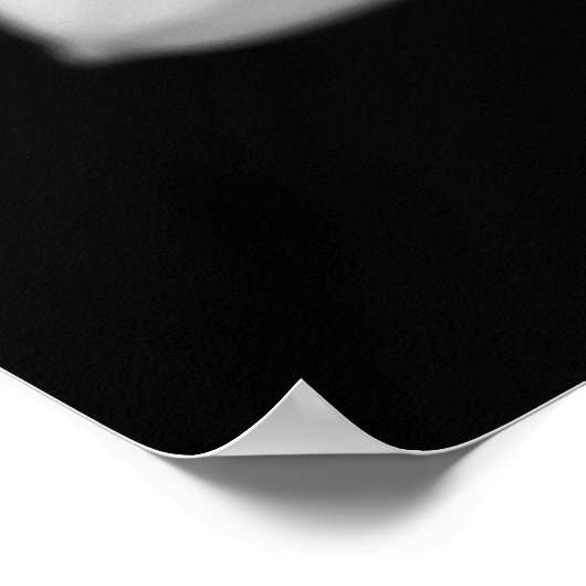 Poster Hosta Blooms (Coin)