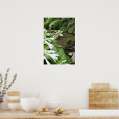 Poster Hosta dans un jardin zen (Cuisine)
