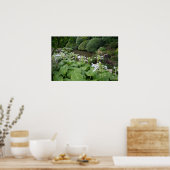 Poster Hosta dans un jardin zen 2 (Cuisine)