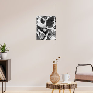 Poster Hosta panaché floral noir et blanc