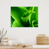 Poster Hosta Vert (Cuisine)