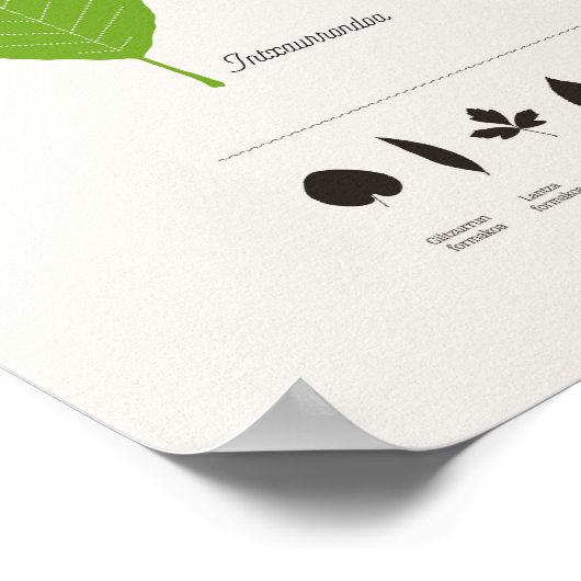 Poster Hostoak ・ Hojas (Coin)