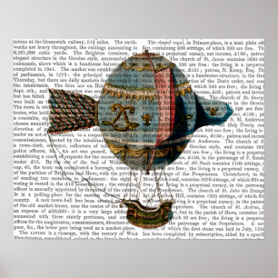 Poster Hot Air Balloon With Tail Feather