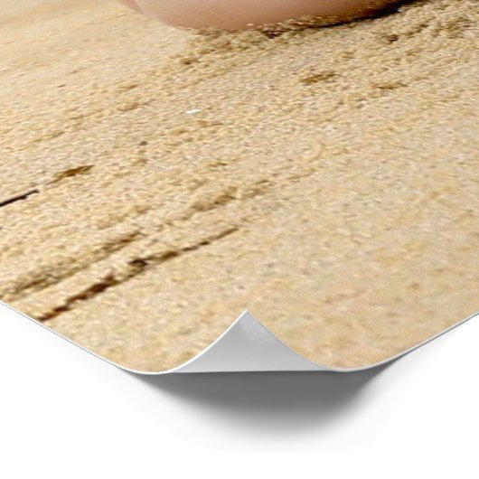 Poster Hot ! Bikini Babe (Coin)