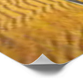 Poster Hot Dog Beach (Coin)