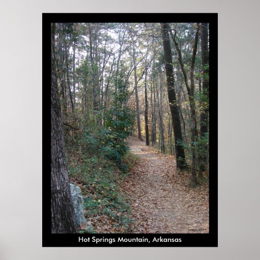 Poster Hot Springs Mountain Arkansas Chemin Grande impres (Devant)