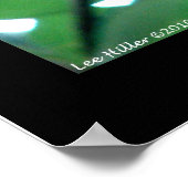 Poster Hot Springs National Park, AR Chipmunk Snack (Coin)