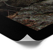 Poster Hot Springs National Park, AR - Silent Mist (Coin)