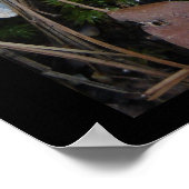 Poster Hot Springs National Park, Arkansas - Ice Ornament (Coin)