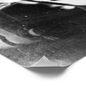 Poster Hot Wheel, 1940s (Coin)