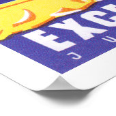 Poster Hotel Excelsior Dubrovnik (Coin)