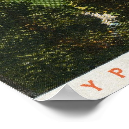 Poster Hôtel Mammoth, Yellowstone (Coin)