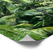 Poster Hôtel Royal Hawaii Waikiki (Coin)