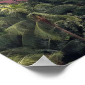 Poster Hôtel Royal Hawaiian (Coin)