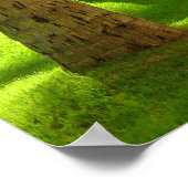 Poster Hôtel Royal Hawaiian (Coin)