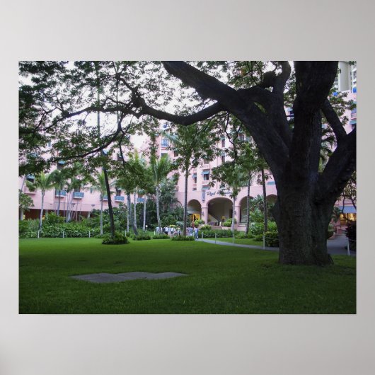 POSTER HÔTEL ROYAL HAWAIIAN ROSE (Devant)