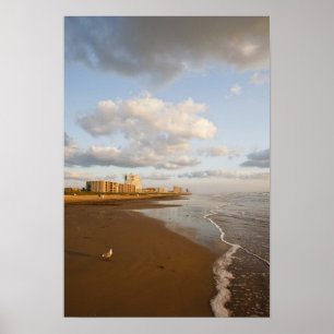 Poster Hôtels de villégiature de South Padre Island, Texa