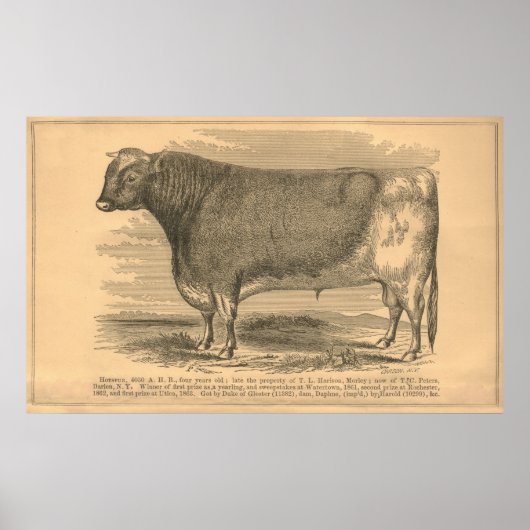 Poster Hotspur, Premier prix Bull à Utica, 1863 (Devant)