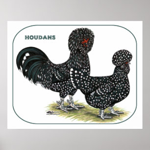 Poster Houdan Chickens