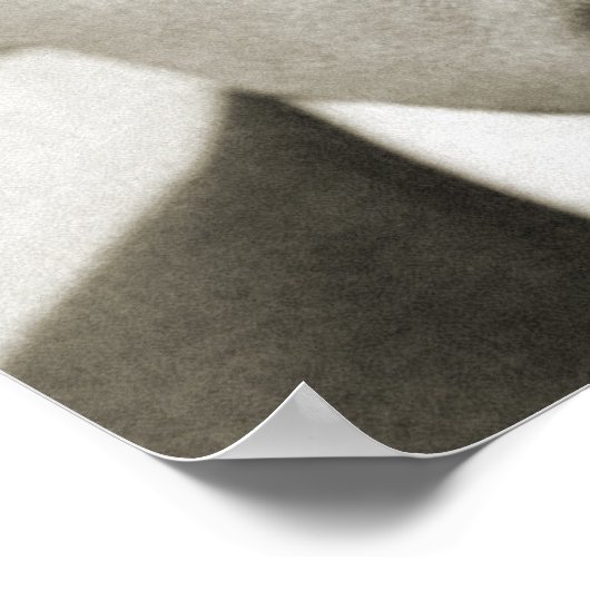 Poster Houdini Optical Illusion (Coin)