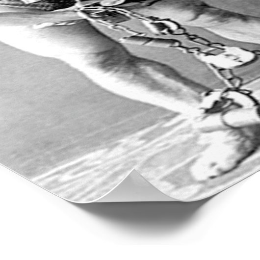 Poster Houdini Vintage (Coin)