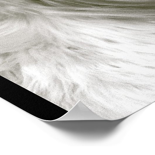 Poster Hound afghan (Coin)