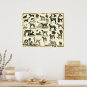 Poster Hounds - Chiens de races - Hunds Imprimer Chiens (Cuisine)