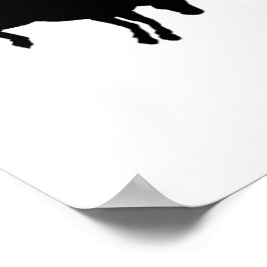 Poster Houston Pics (Coin)