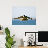 Poster Hovering Kestrel (Bureau à domicile)