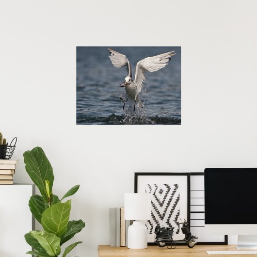 Poster Hovering Kittiwake (Bureau à domicile)