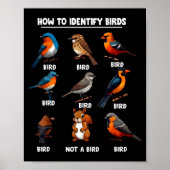 Poster How To Identify Birds Funny Birds Identification B (Devant)
