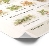 Poster How to Identify Poison Ivy – Educational Botanical (Coin)