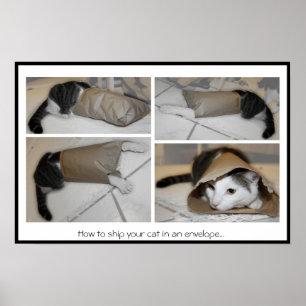 Poster How to ship your cat in an envelope...funny  print