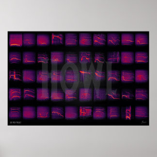 Poster Howl : Le langage secret des loups