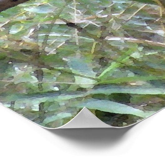 Poster Howler Monkey Hangout (Coin)