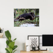 Poster Howler Monkey Hangout (Bureau à domicile)